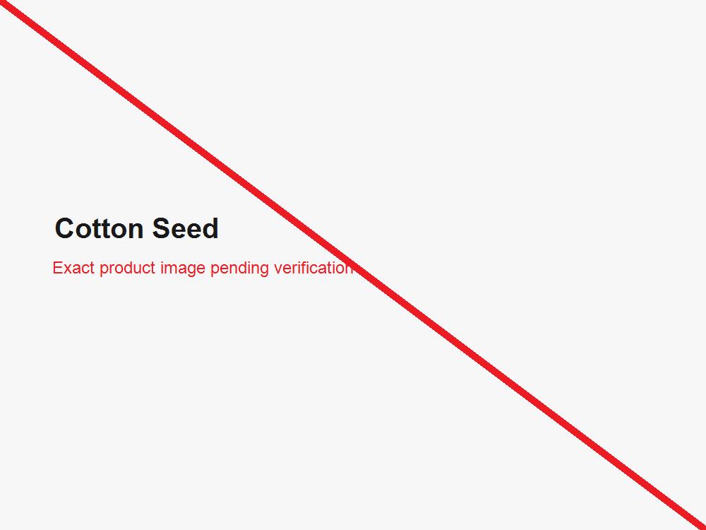 Cotton seed
